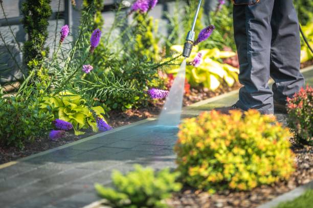 Best Pool Deck Cleaning  in La Pine, OR